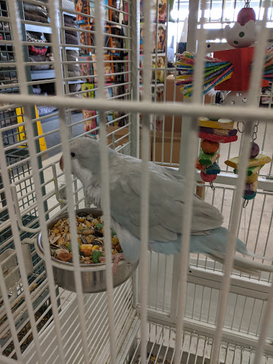 Pet Supply Store «Pet Valu», reviews and photos, 541 S Breiel Blvd, Middletown, OH 45044, USA