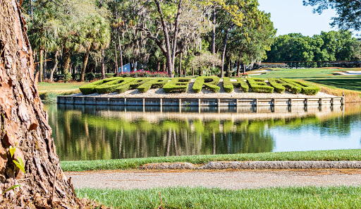 Golf Course «Copperhead Course», reviews and photos, 36750 US Hwy 19 N, Palm Harbor, FL 34684, USA