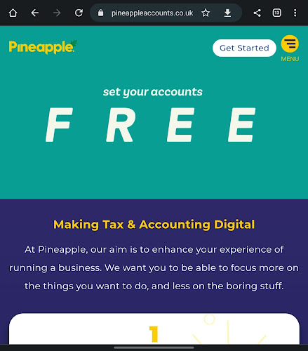 Pineapple Accounts Limited - Newport