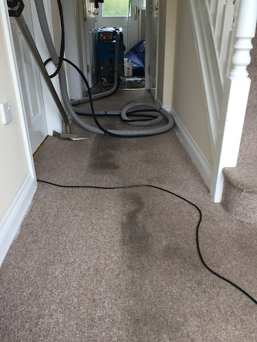 Comments and reviews of Peterborough Carpet Cleaners