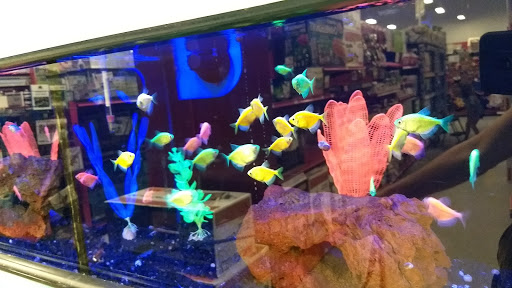 Pet Supply Store «Petco Animal Supplies», reviews and photos, 3731 Gateway Dr, Eau Claire, WI 54701, USA