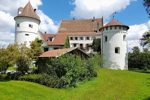 Schloss Syrgenstein image