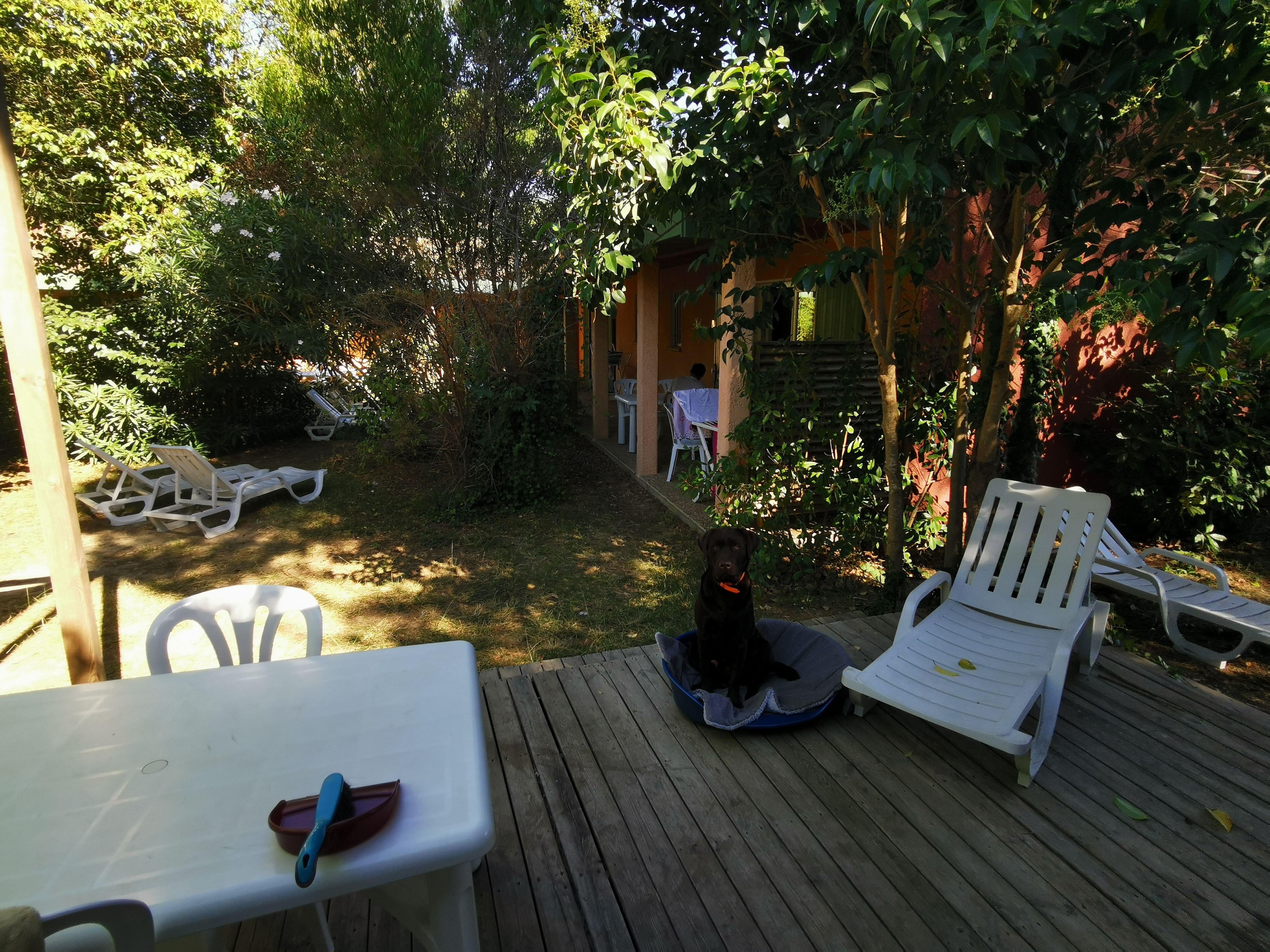 Photo n° 2 de l'avis de Marie-Lise.a fait le 30/08/2020 à 08:44