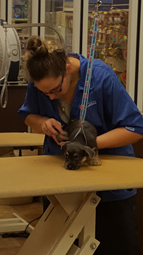 Pet Supply Store «PetSmart», reviews and photos, 1559 Merritt Blvd, Dundalk, MD 21222, USA