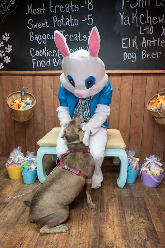 Best Buddy Dog Treats