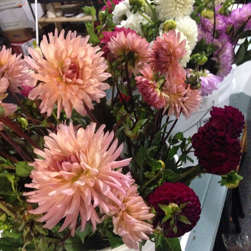 Florist «Lush and Lovely Floristry», reviews and photos, 3408 Bridge Ave, Cleveland, OH 44113, USA