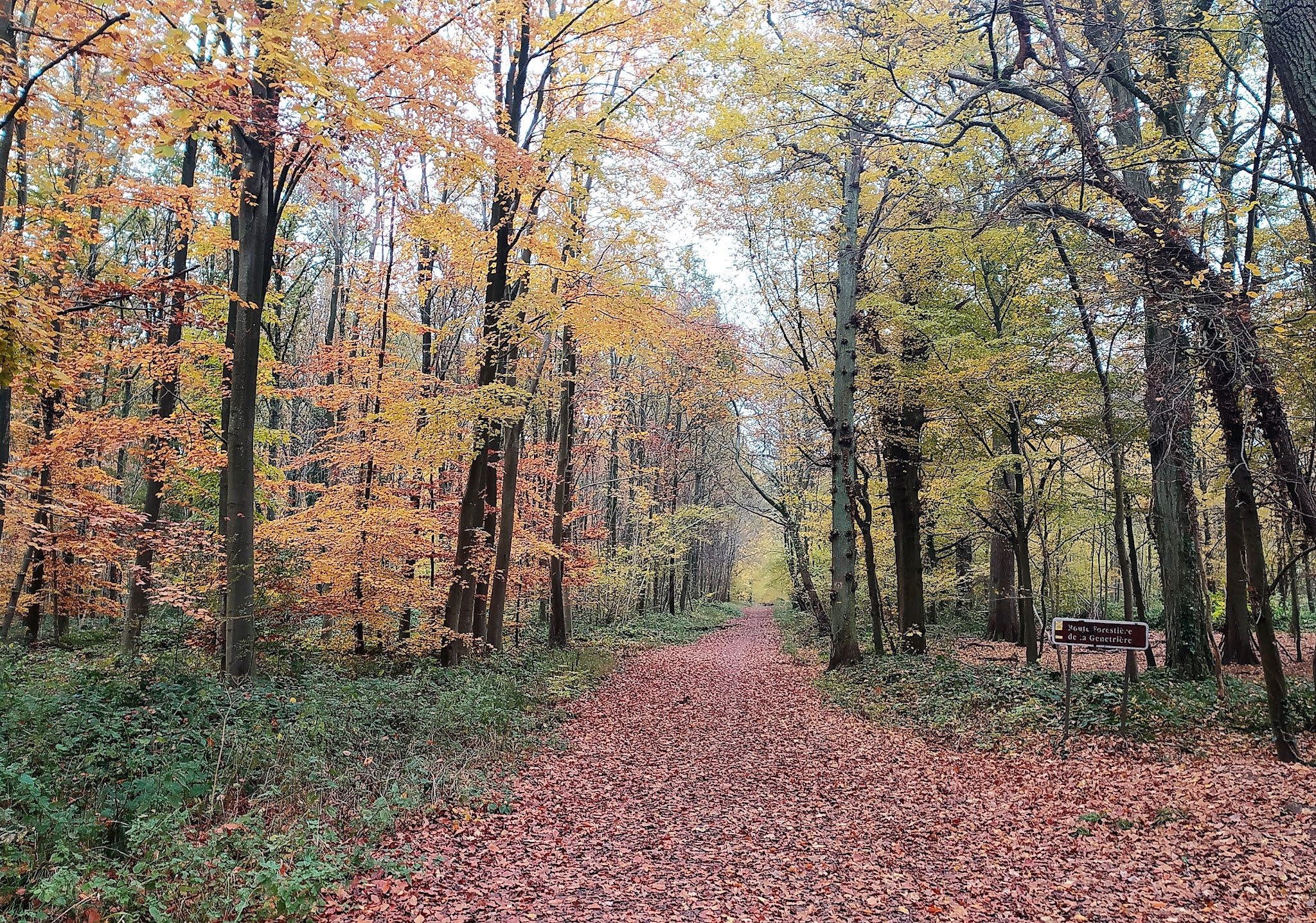 Photo n° 11 de l'avis de François. fait le 21/11/2021 à 12:37