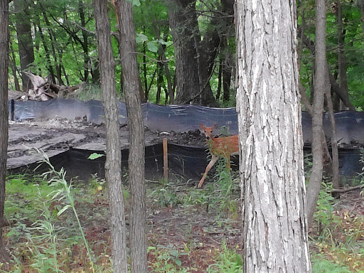 Nature Preserve «Thaddeus S. 