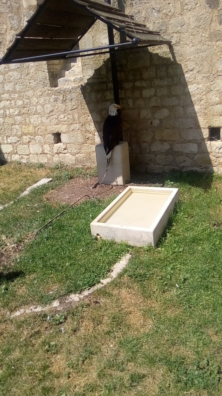 Photo n° 1 de l'avis de Emilie.e fait le 07/07/2019 à 10:34
