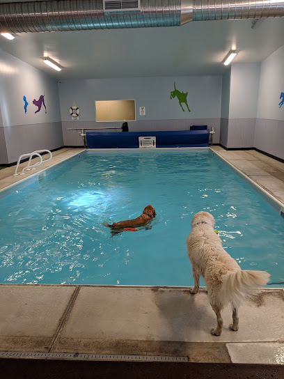 Four Paws Pet Hotel and Resort