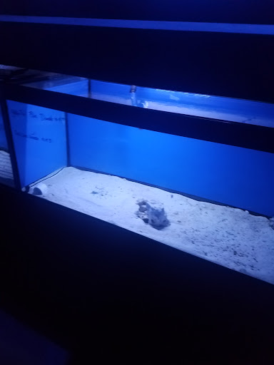 Tropical Fish Store «Hydra Aquatics International, Inc.», reviews and photos, 1300 Stirling Rd #7a, Dania Beach, FL 33004, USA