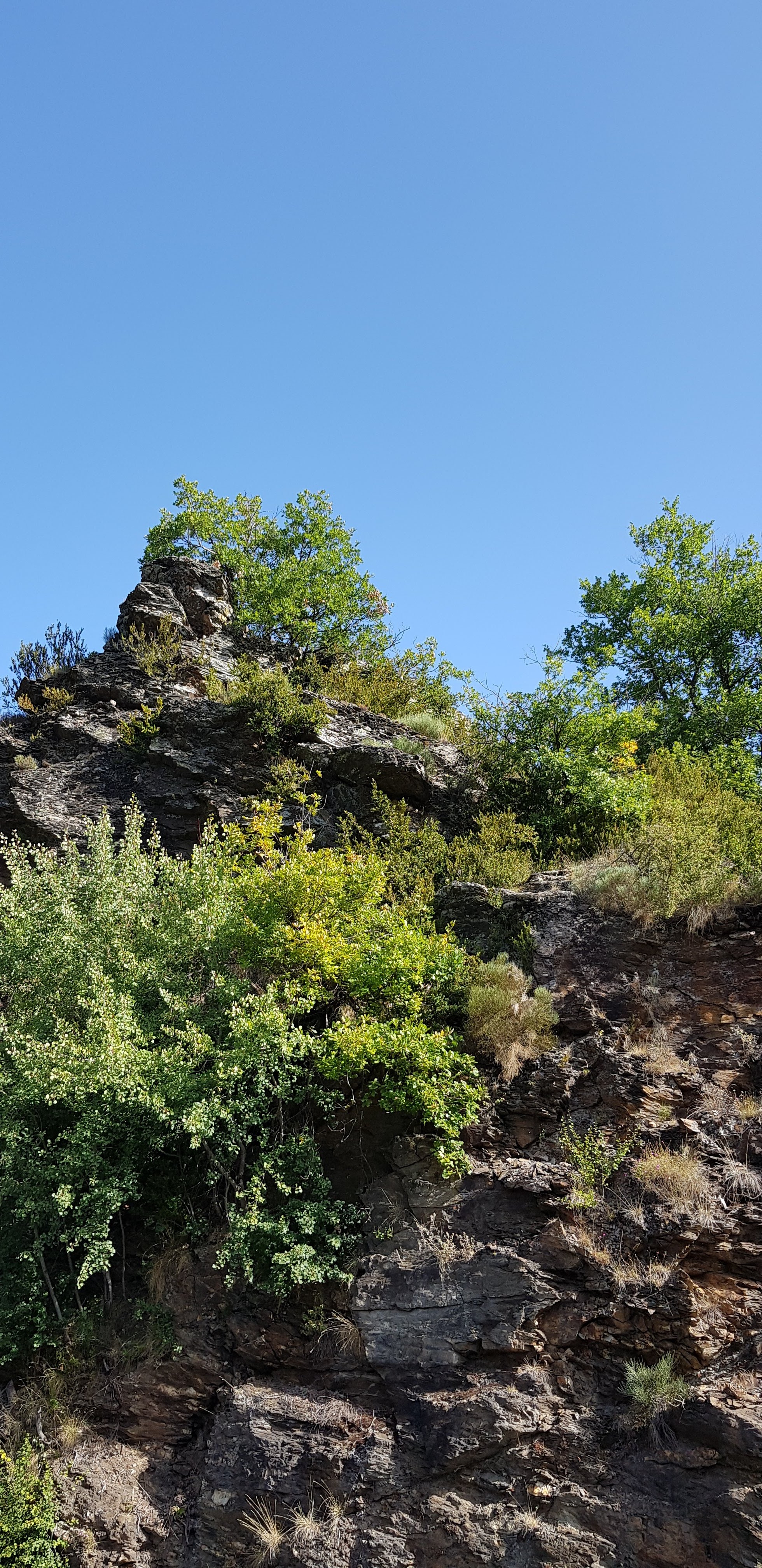 Photo n° 8 de l'avis de marie.e fait le 17/09/2019 à 10:24