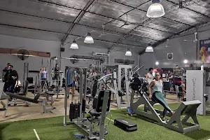 Everest Gym image