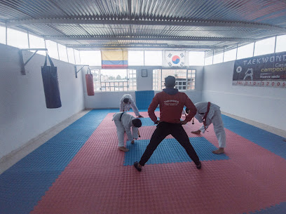 Escuela de Taekwondo Sahn Young Han sede 2