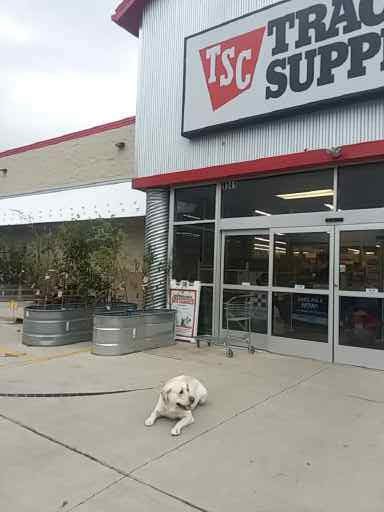 Home Improvement Store «Tractor Supply Co.», reviews and photos, 1341 S Main Ave #380, Scranton, PA 18504, USA
