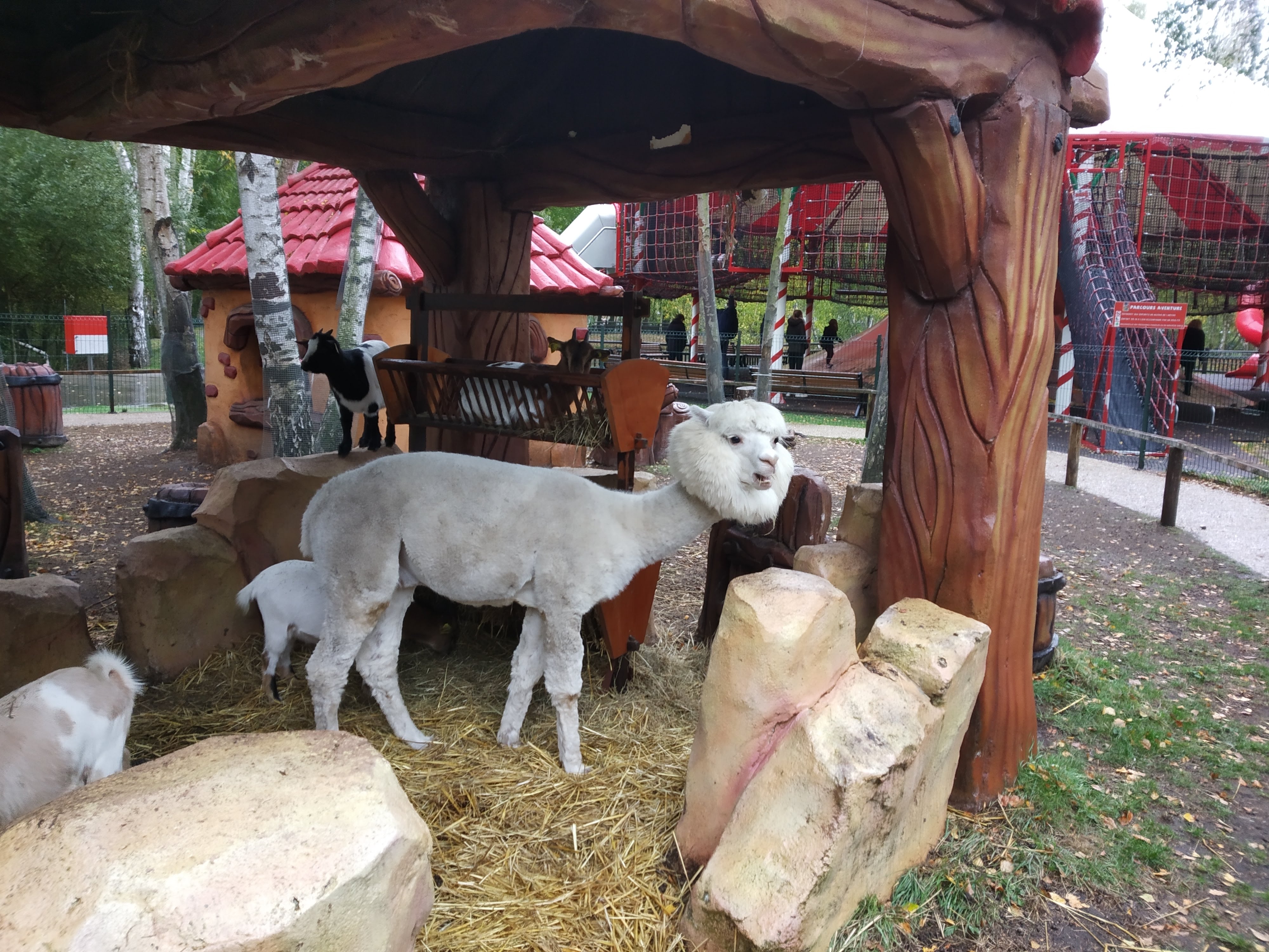 Photo n° 4 de l'avis de Kadia.' fait le 26/10/2018 à 19:22