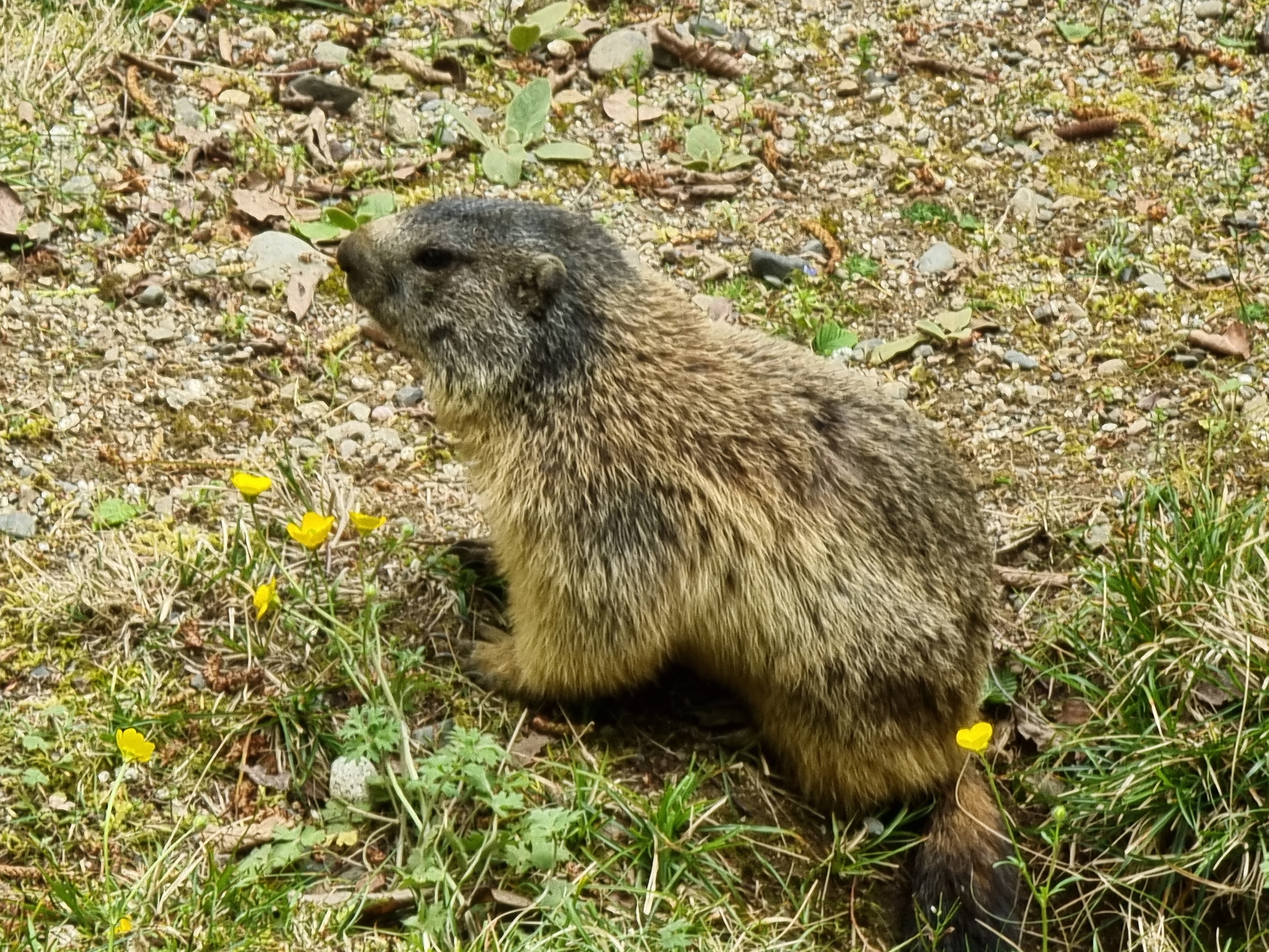Photo n° 22 de l'avis de Noel.l fait le 12/04/2022 à 13:30