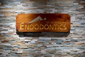 St Petersburg Endodontics image