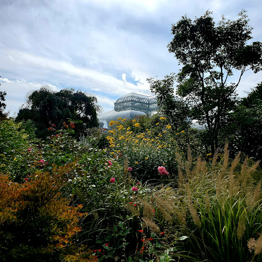 Gift Shop «NYBG Shop», reviews and photos, 2900 Southern Blvd, Bronx, NY 10458, USA