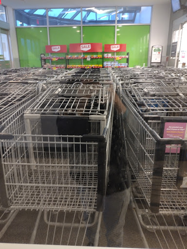 Grocery Store «Super Stop & Shop», reviews and photos, 597 Farmington Ave, Bristol, CT 06010, USA