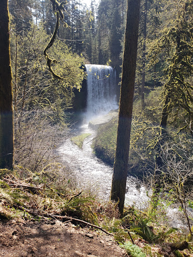 Resort «Oregon Garden», reviews and photos, 879 W Main St, Silverton, OR 97381, USA