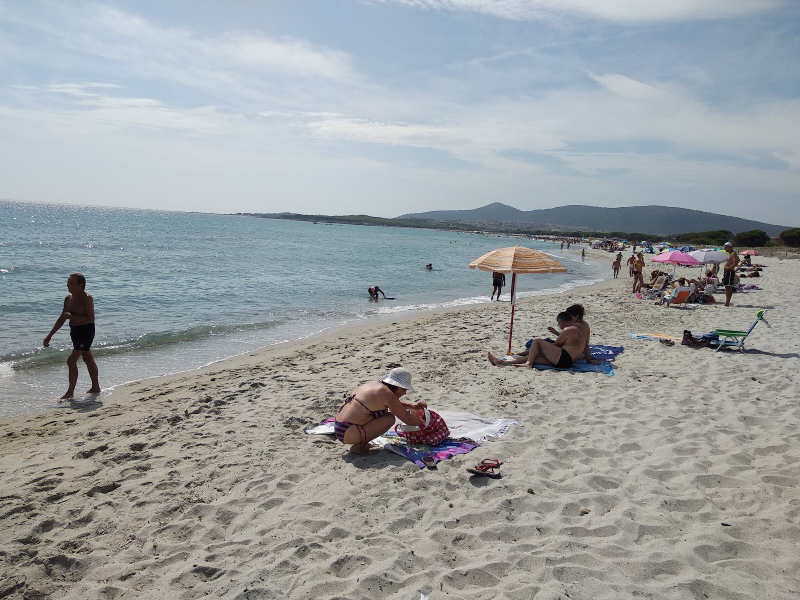 Foto de Spiaggia per Cani - lugar popular entre os apreciadores de relaxamento