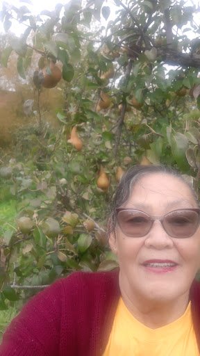 Orchard «Autumn Hills Orchard», reviews and photos, 495 Chicopee Row, Groton, MA 01450, USA