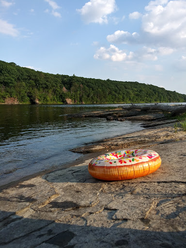 Tourist Attraction «Dinosaur Footprints», reviews and photos, US-5, Holyoke, MA 01040, USA