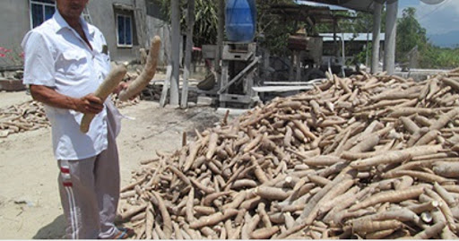 Top 3 cửa hàng bkav Huyện Tân Châu Tây Ninh 2022