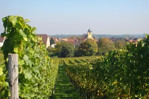 Weingut Wolf image