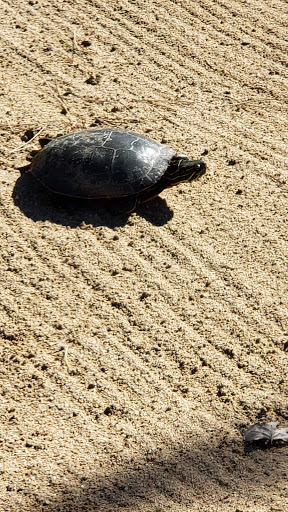 Golf Driving Range «Stoney Creek Golf Course», reviews and photos, 13939 W 96th Ave, Arvada, CO 80005, USA