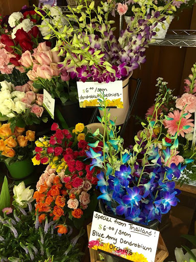 Florist «The Orchid Florist», reviews and photos, 1 Chase Ave, Waterbury, CT 06704, USA