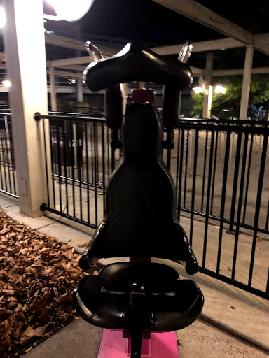 Roller Coaster «Great Bear», reviews and photos, 100 Hersheypark Monorail, Hershey, PA 17033, USA