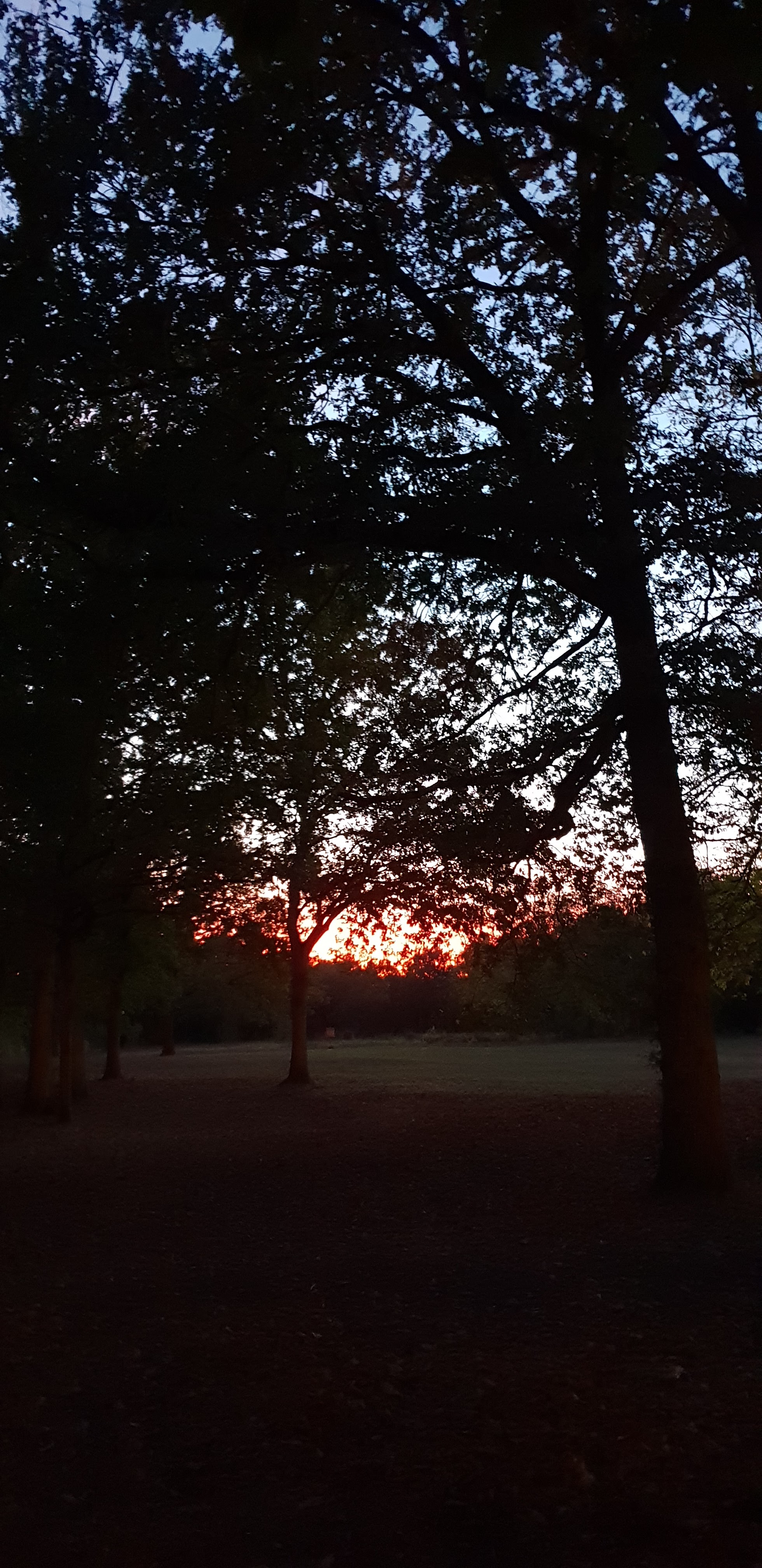 Photo n° 3 de l'avis de Bouchra.a fait le 23/10/2018 à 19:17