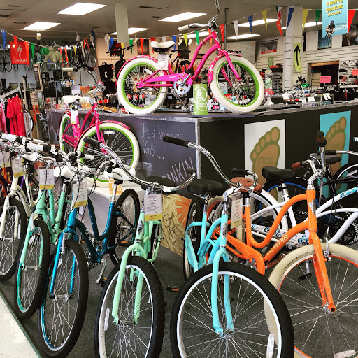 Bicycle Store «Chainwheel Drive», reviews and photos, 32796 US Hwy 19 N, Palm Harbor, FL 34684, USA