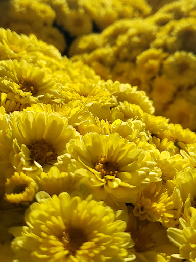 Grocery Store «Kroger», reviews and photos, 123 Northcreek Blvd, Goodlettsville, TN 37072, USA