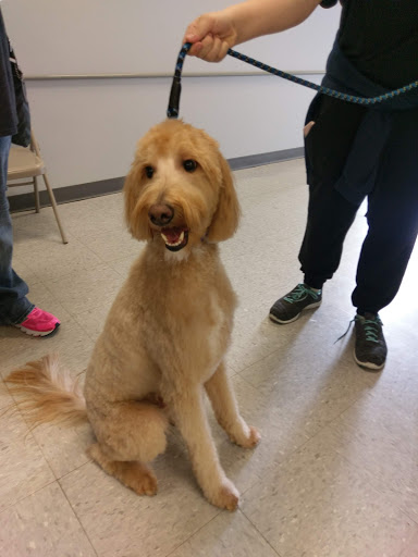 Pet Supply Store «Petco Animal Supplies», reviews and photos, 4012 W 27th Ave, Kennewick, WA 99337, USA