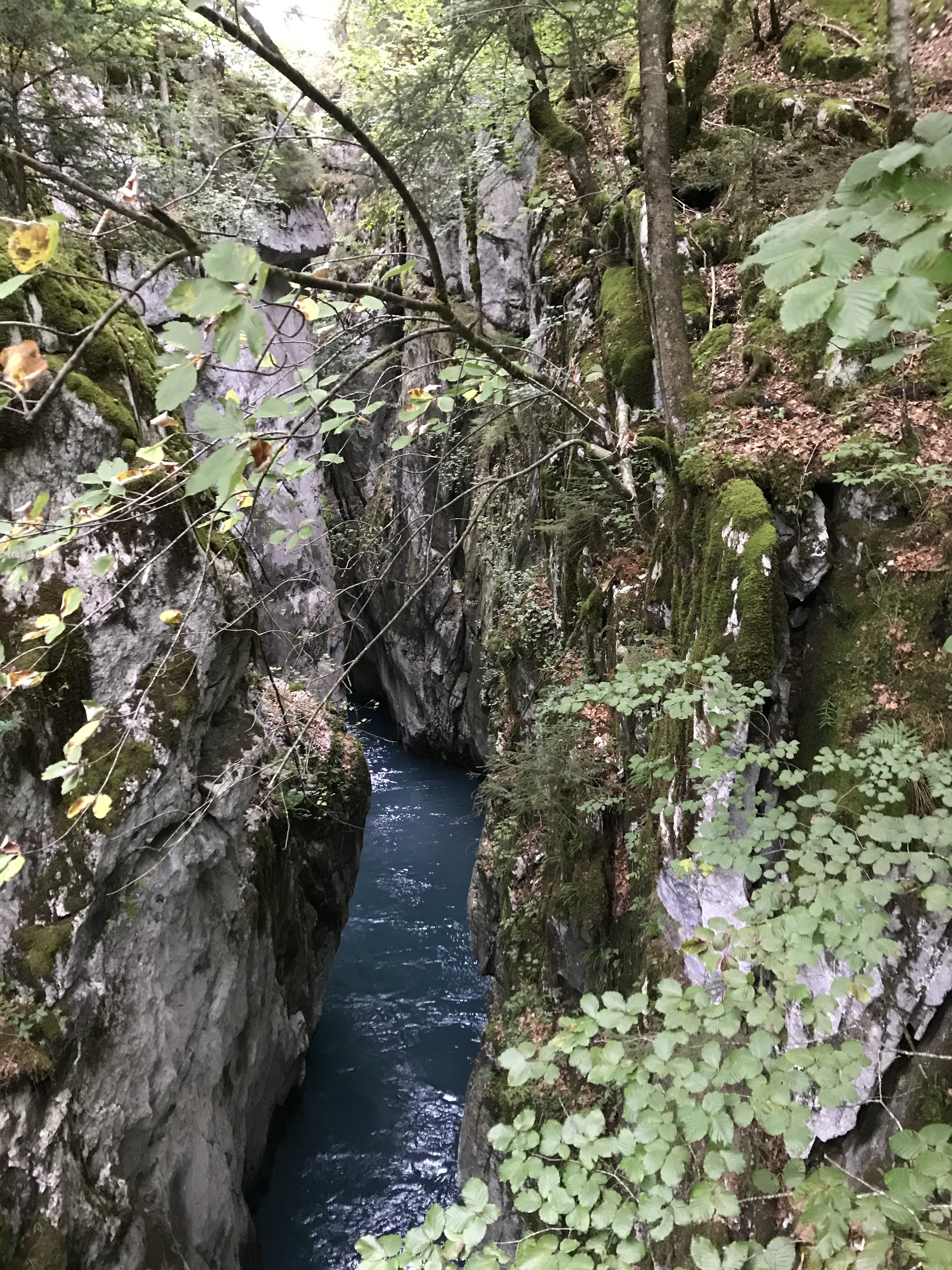 Photo n° 1 de l'avis de Sylvain.A fait le 11/09/2020 à 19:52