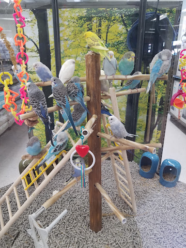 Pet Supply Store «Petco Animal Supplies», reviews and photos, 1301 S California Blvd, Walnut Creek, CA 94596, USA