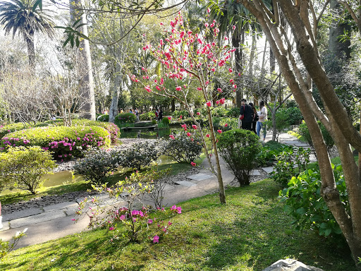 Montevideo Japanese Garden