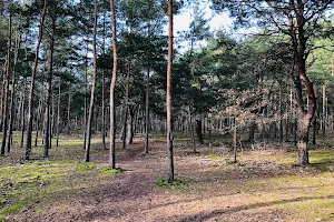 Uroczysko Las Dąbrówka image