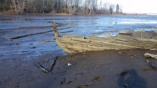 Tourist Attraction «Mallows Bay», reviews and photos, 1440 Wilson Landing Rd, Nanjemoy, MD 20662, USA