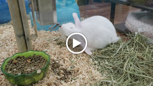 Pet Store «Pet Supermarket», reviews and photos, 9798 Glades Rd, Boca Raton, FL 33434, USA