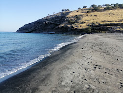 Foto von Paralia Trigari mit geräumige küstenlinie