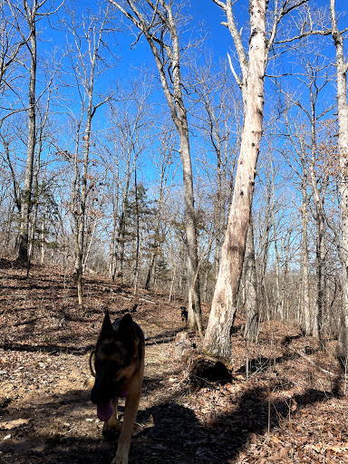 Trail of the Four Winds