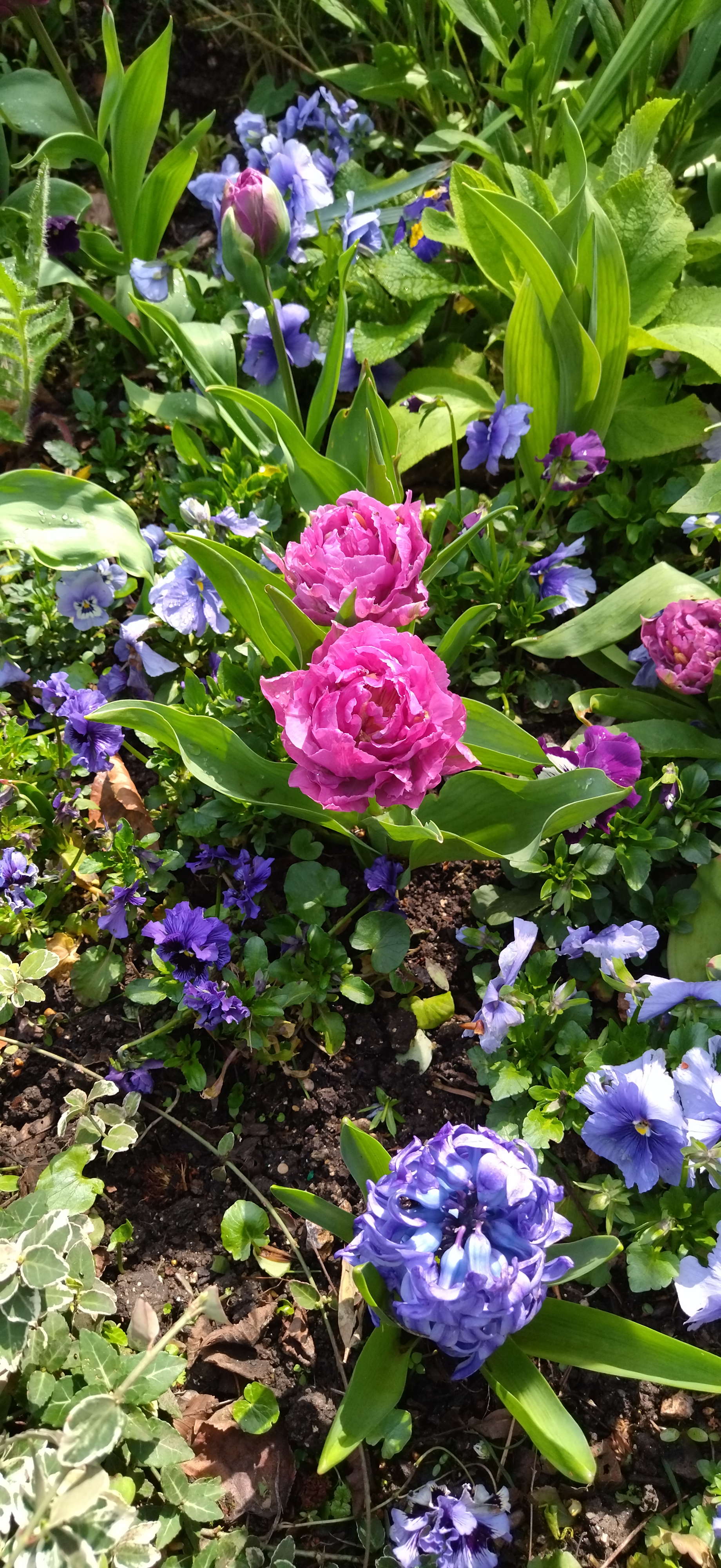 Photo n° 23 de l'avis de PHILIPPOT.a fait le 16/04/2023 à 17:54