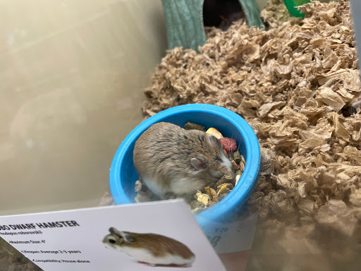 Pet Supply Store «Pet Supplies Plus», reviews and photos, 1030 Main St #10, Waltham, MA 02451, USA