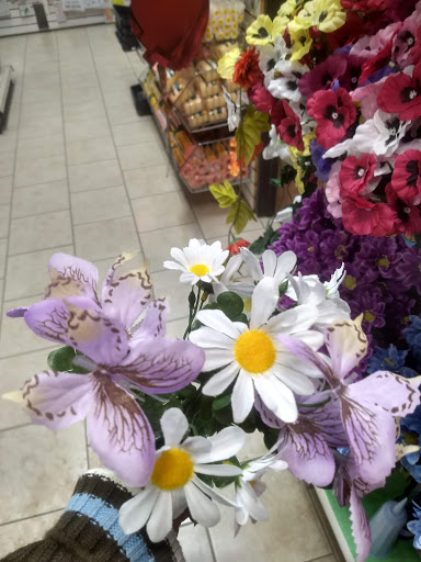 Variety Store «Dollar Discount», reviews and photos, 1825 S Cedar St, Imlay City, MI 48444, USA