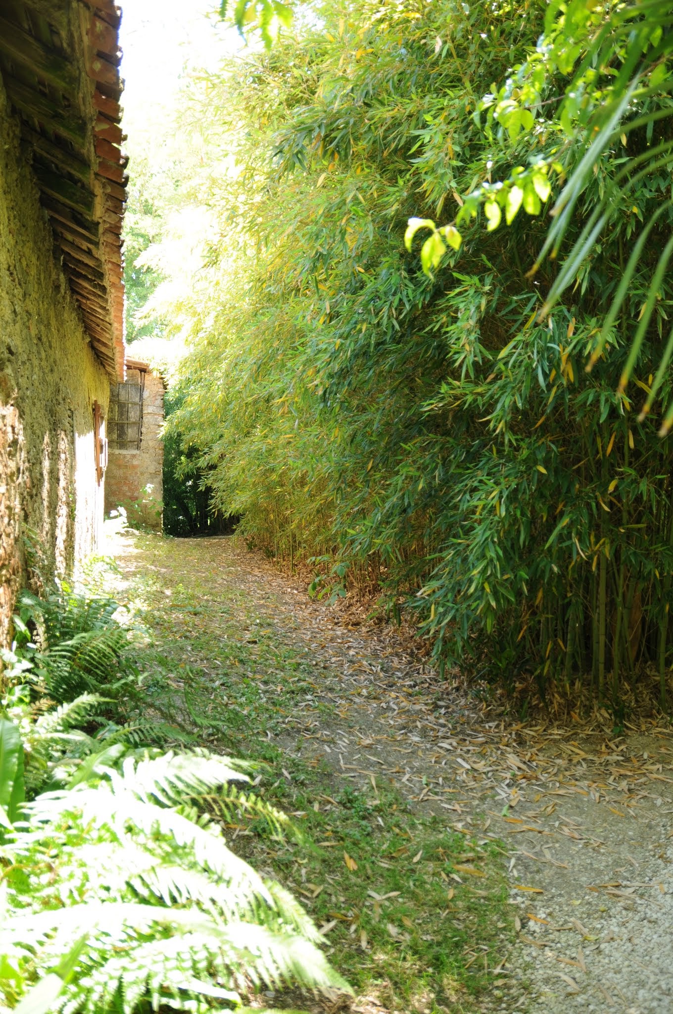Photo n° 22 de l'avis de Ange.n fait le 01/06/2019 à 14:17