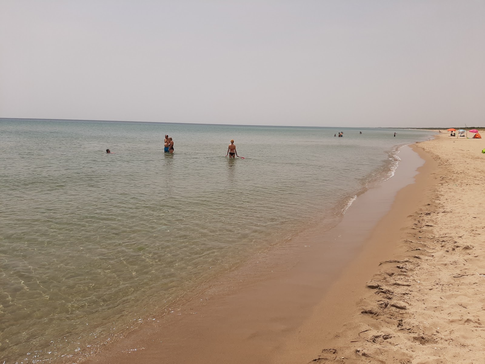 Pino Di Lenne beach的照片 - 受到放松专家欢迎的热门地点